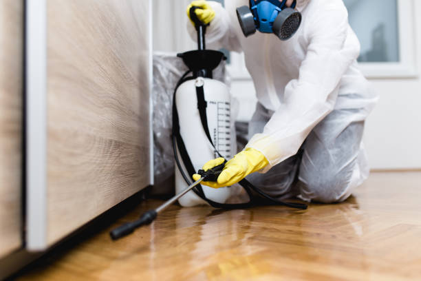 Best Pest Control Near Me in South Hooksett, NH