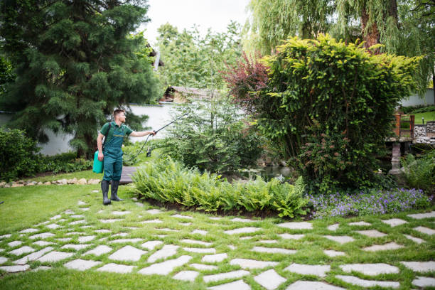 Best Best Pest Control Companies  in South Hooksett, NH