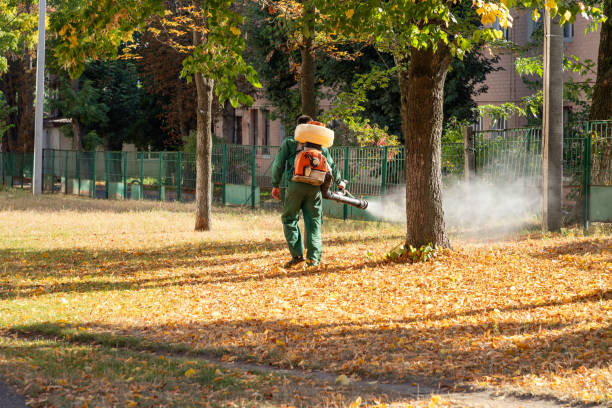 Insect Control in South Hooksett, NH