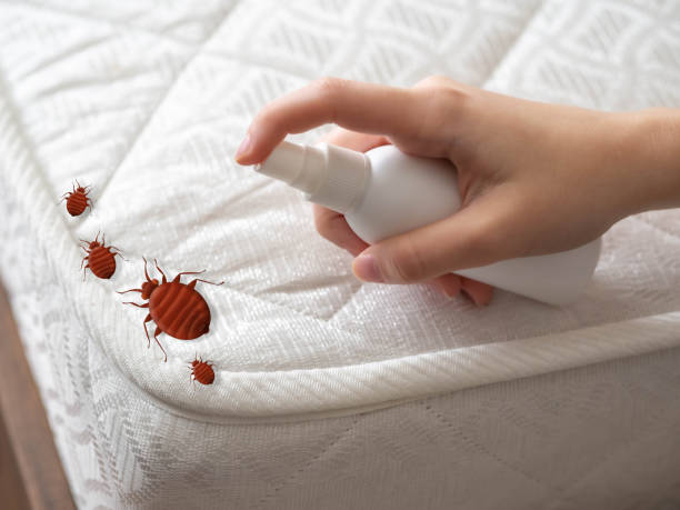 Best Pest Control Near Me  in South Hooksett, NH