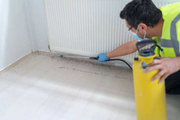Best Pest Removal Services  in South Hooksett, NH